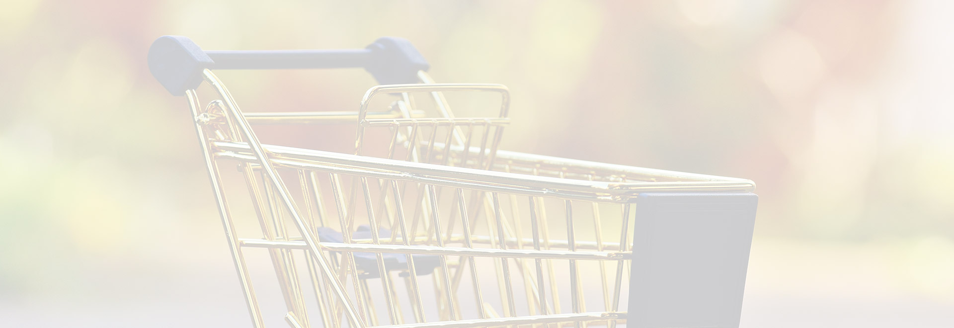 NCJWC Toronto Shirlees Gift Nook